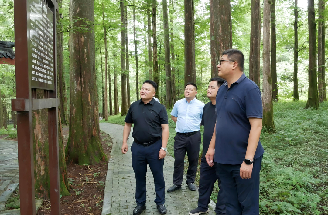 周侃调研经济社会运行及农文旅融合发展情况