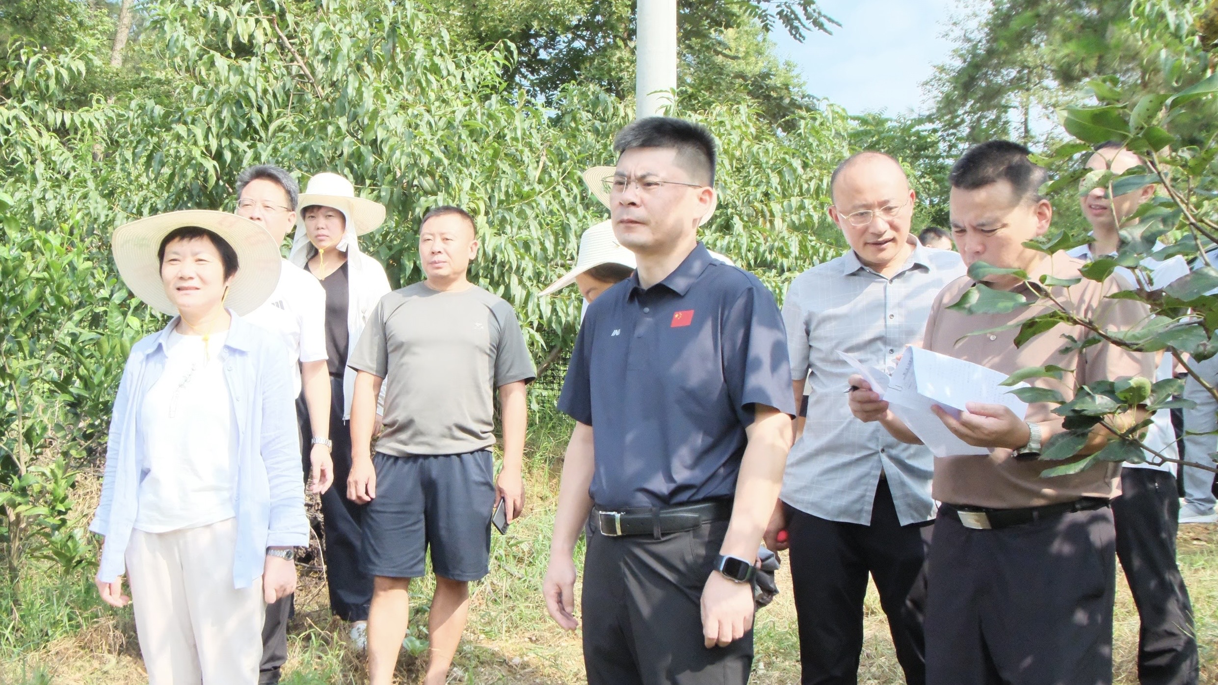 洞口县召开雪峰小籽花生“一扩双提”行动良种良法良机观摩会