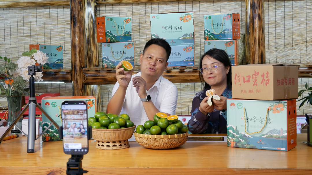 桔香茶韵洞口 · 吾味｜蜜桔未熟订单先火！洞口雪峰蜜桔凭实力圈粉