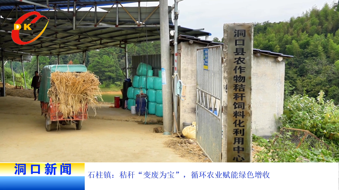 石柱镇：秸秆“变废为宝”，循环农业赋能绿色增收