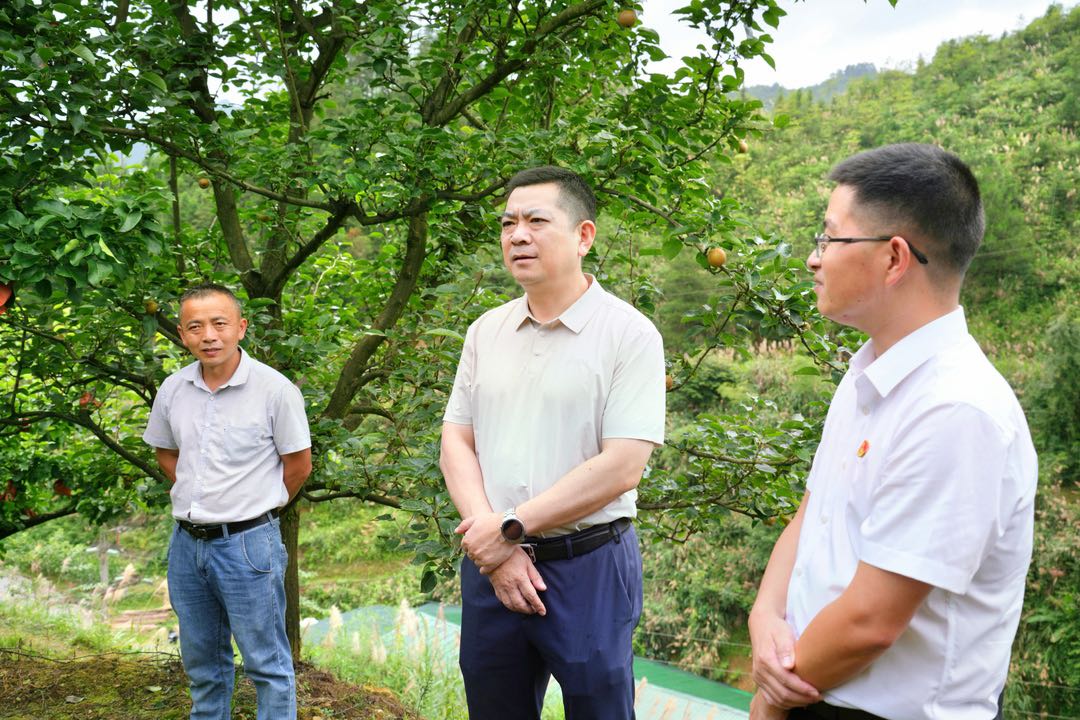 王智刚到月溪、长塘等乡镇调研产业发展、民族团结等工作