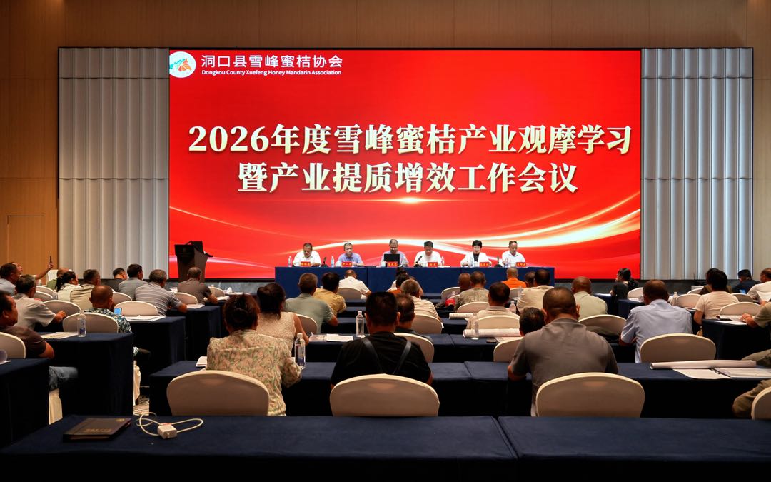 深耕 “桔香茶韵洞口” 特色产业——洞口县召开雪峰蜜桔观摩学习暨提质增效工作会
