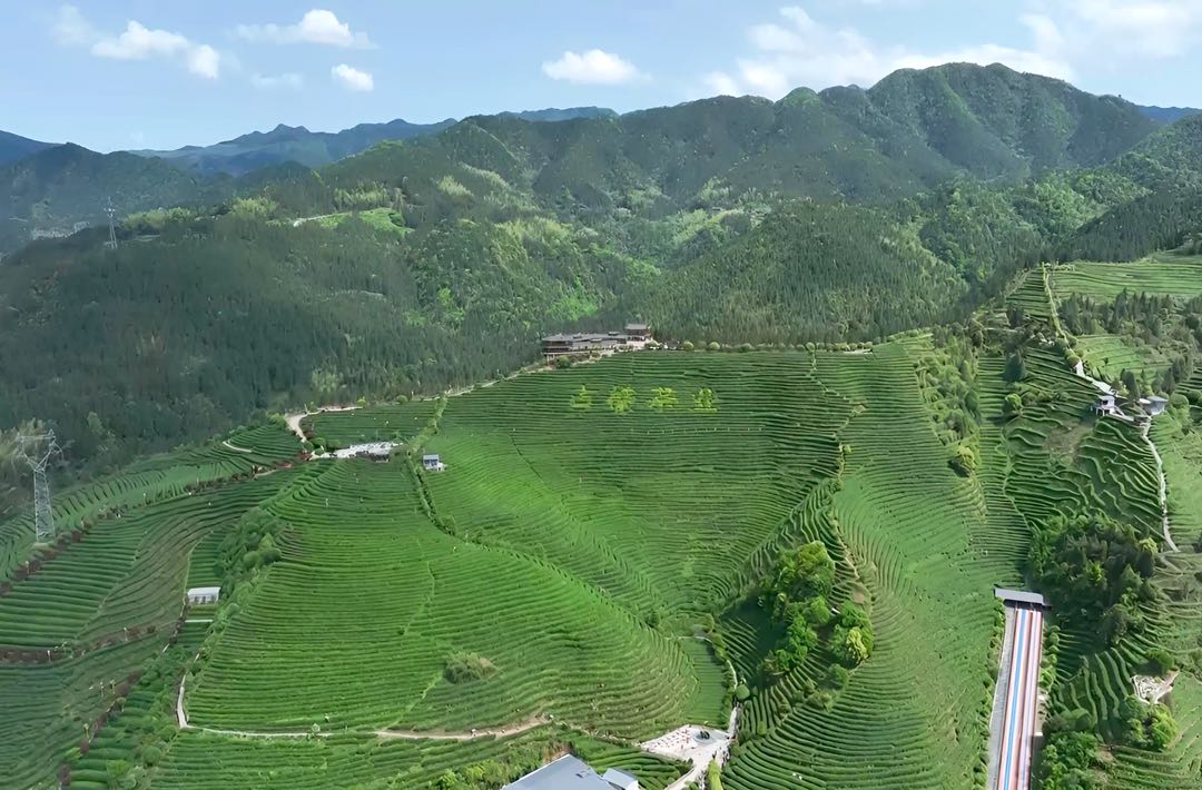 桔香茶韵洞口 · 吾味丨从“消暑小食”到“文旅IP”：雪峰山下一碗红茶凉粉的融合密码
