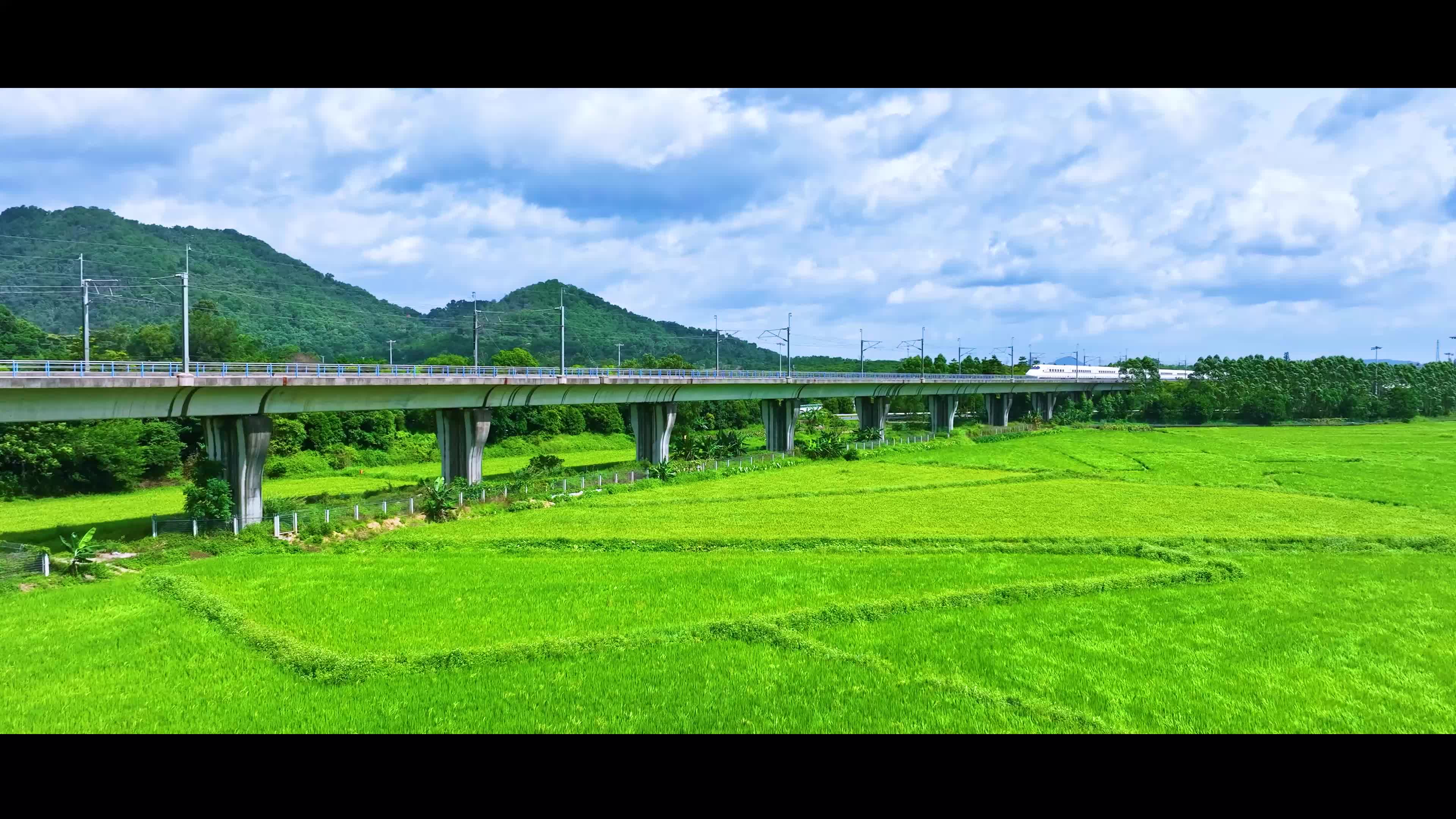 山河有界  发展无界