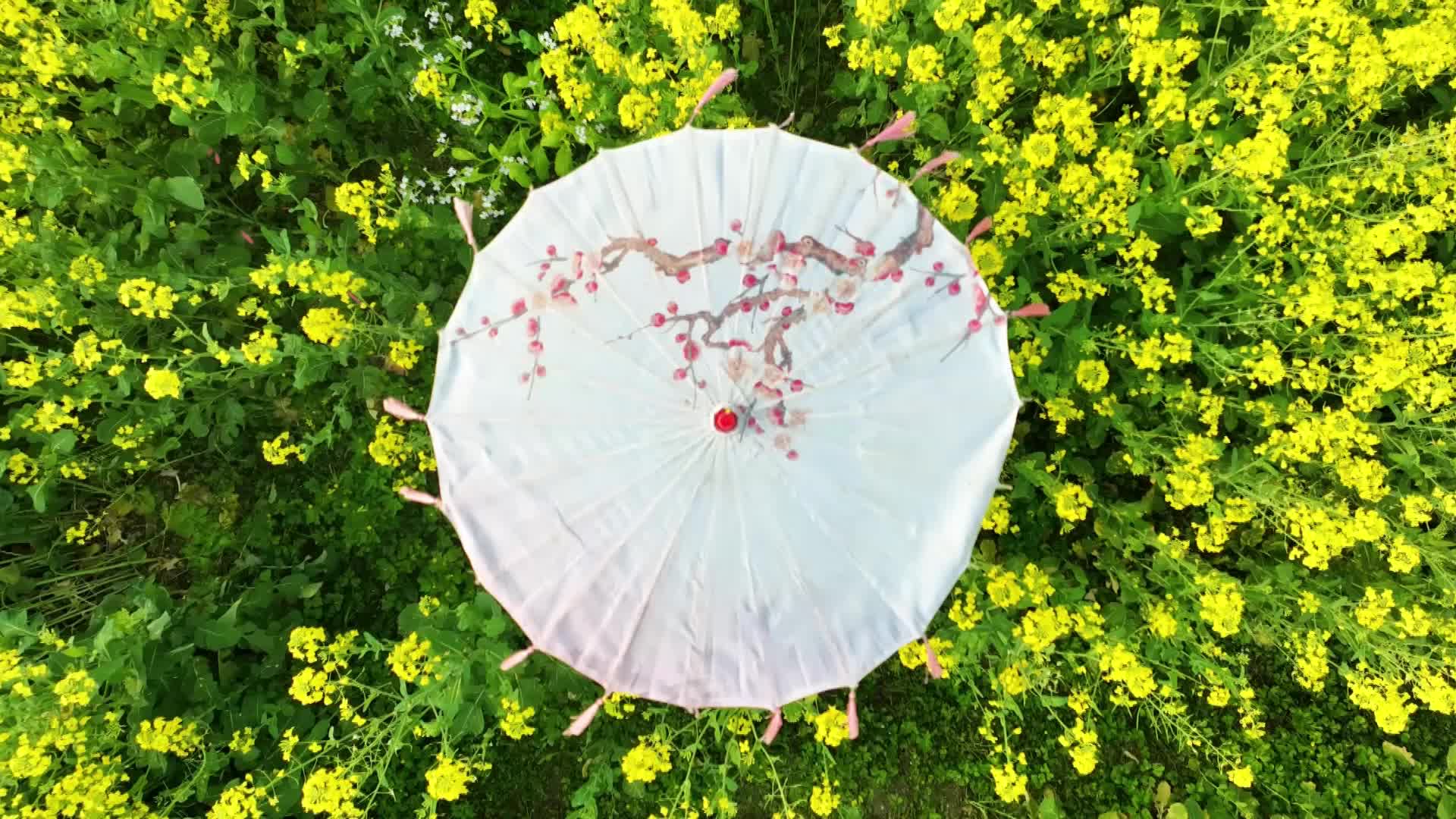 春日如许·花下人|古风少女与油菜花的春日邂逅