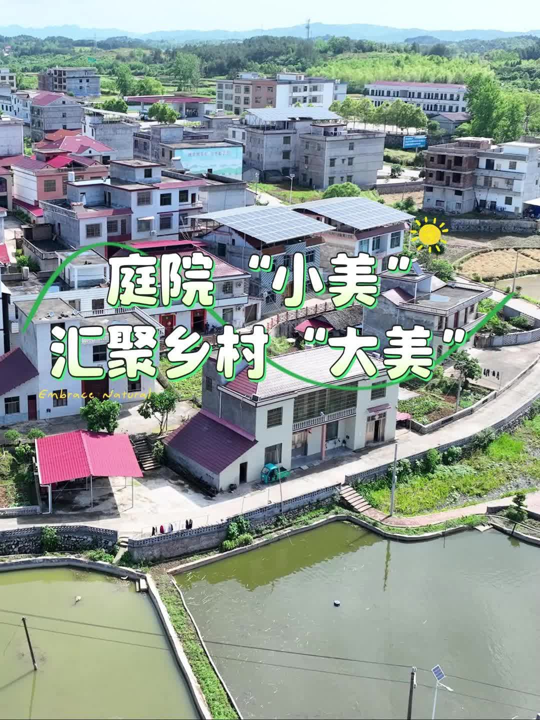 庭院“小美”汇聚乡村“大美”