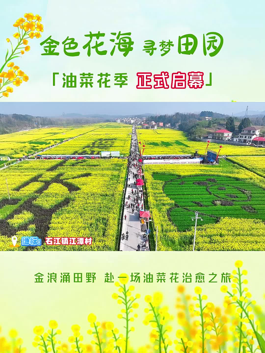 “金色花海 寻梦田园” 油菜花季 正式启幕