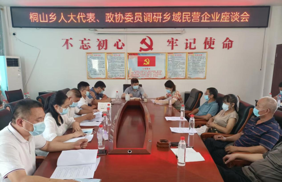 桐山乡组织开展人大代表调研活动