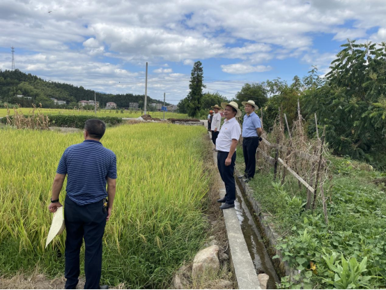 毓兰镇：坚决打赢抗旱保收攻坚战