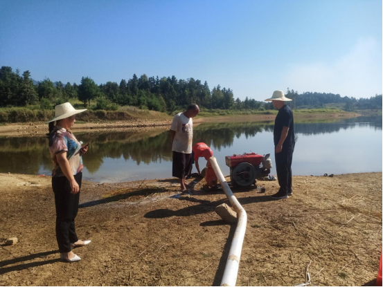 岩山镇青桥村：干群齐心抗旱，稻田“解渴”无忧