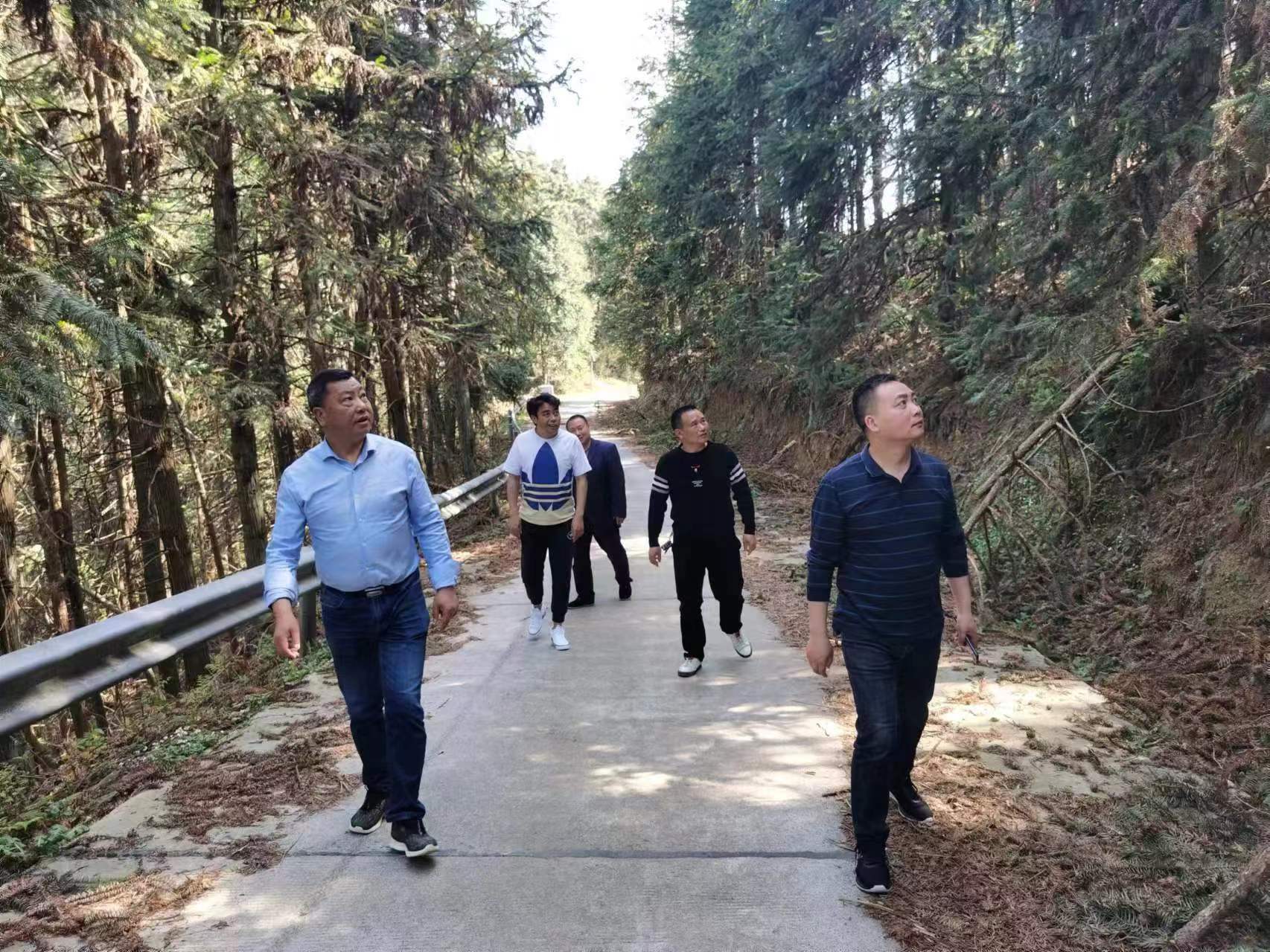 洞口县森林防火国有林场有担当