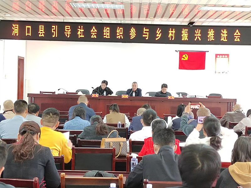 洞口县积极推进社会组织参与乡村振兴