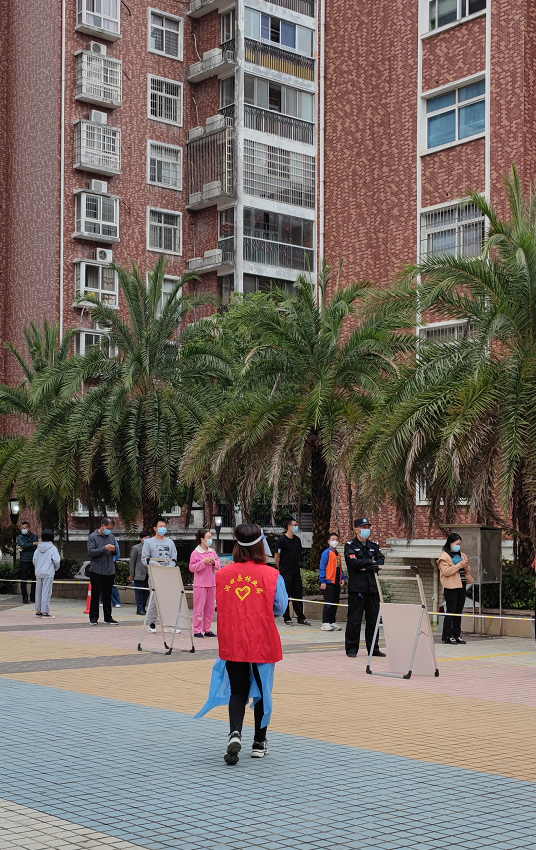 【做温暖的洞口人】县城按下暂停键，林业人加速前行