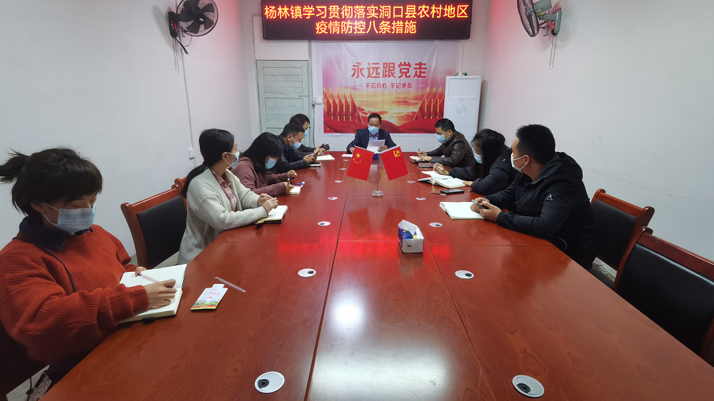 【最温暖的洞口人】杨林镇：同舟共济凝聚抗疫合力