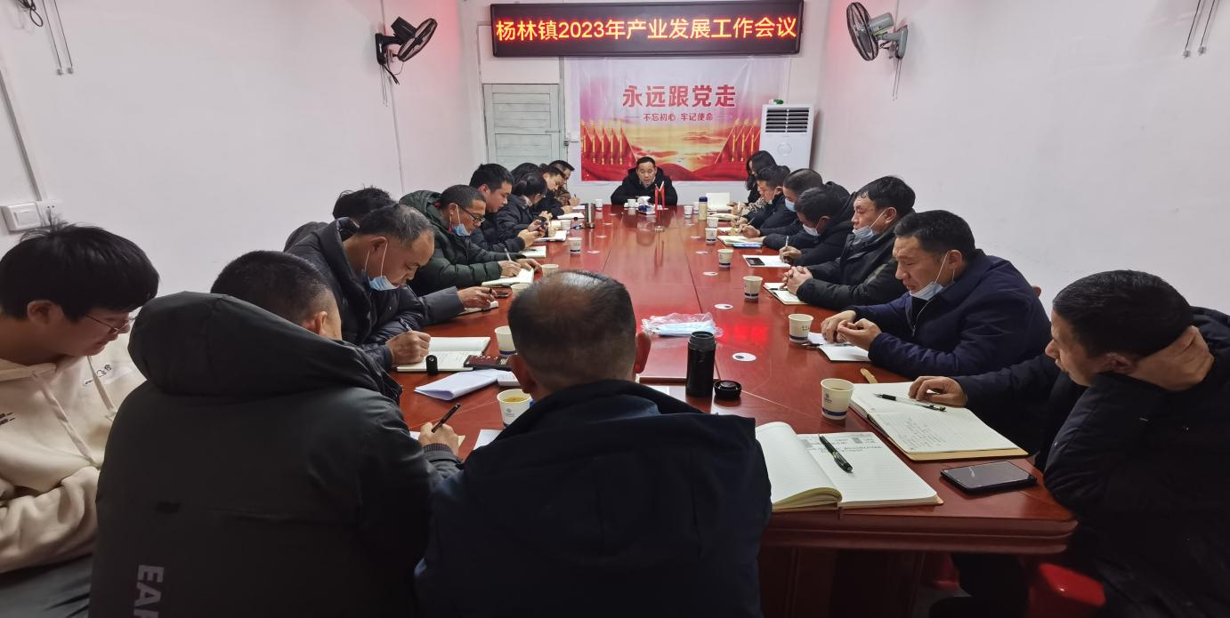 行而不辍，未来可期！ 杨林镇召开乡村振兴产业发展工作会议