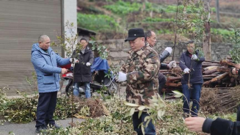 月溪林场：精准实施造林绿化，高质量发展再提速