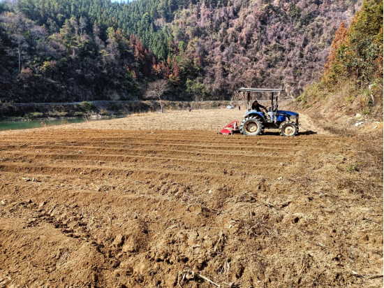 桐山乡：党员先行  按下春耕复垦“启动键”