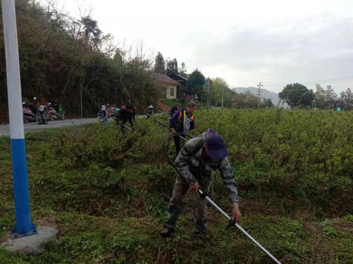 大屋瑶族乡新峰村：谋划布局早 产业发展忙