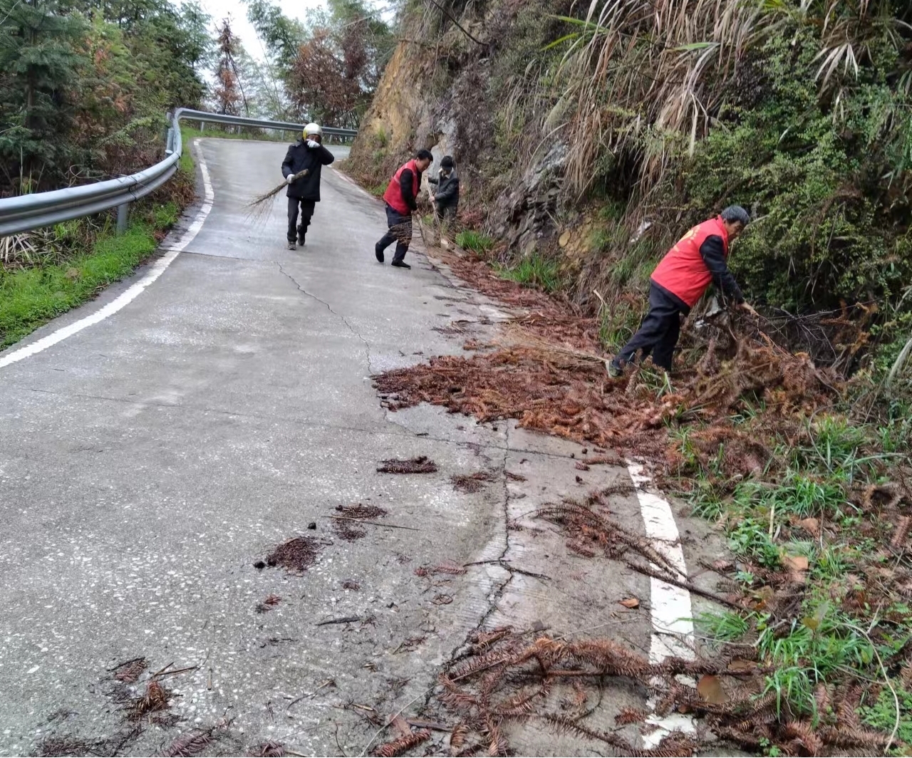 桐山乡各族志愿者齐心协力共扫家乡路