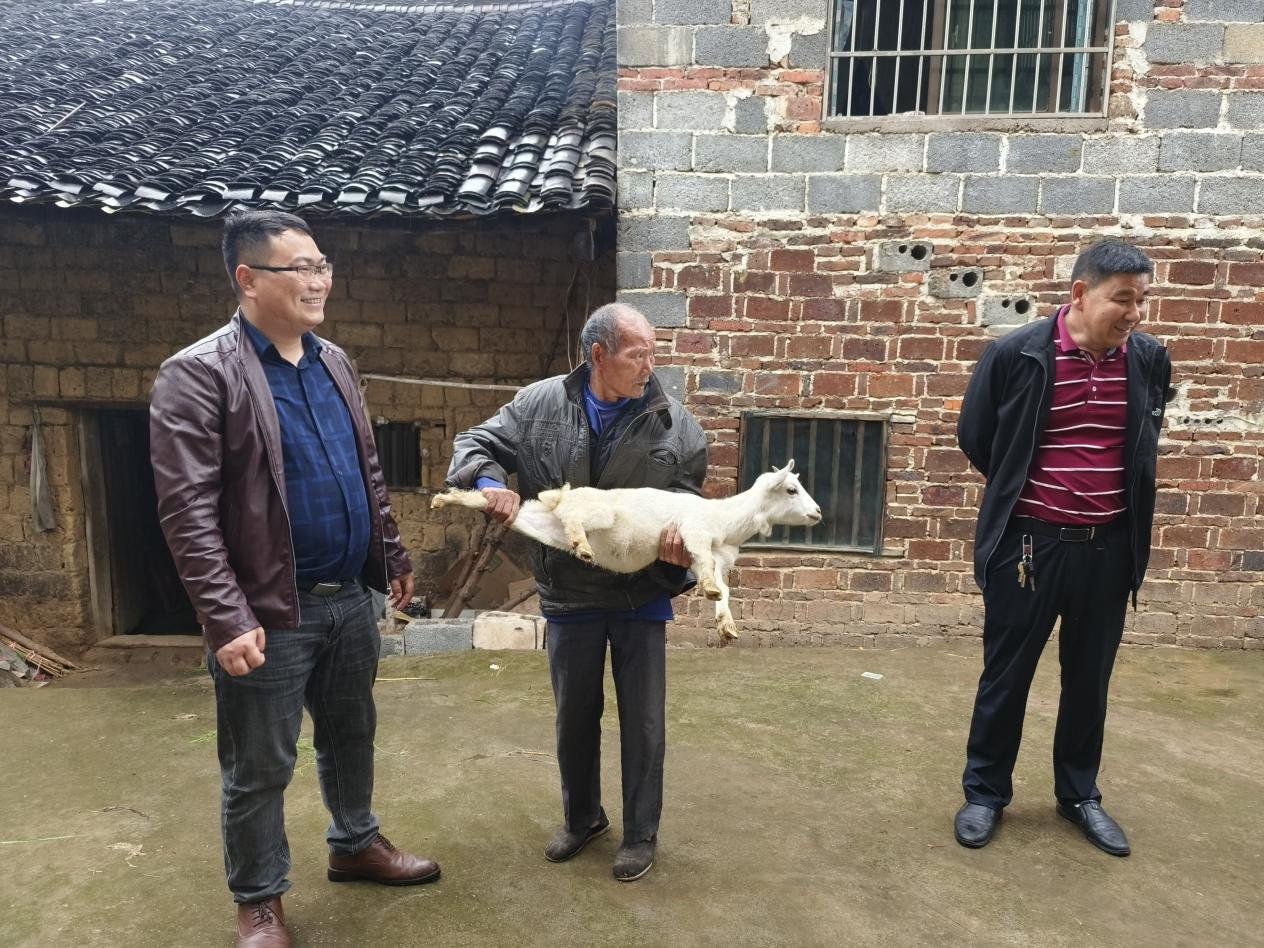 黄桥镇：圆梦微心愿 聚力助生产