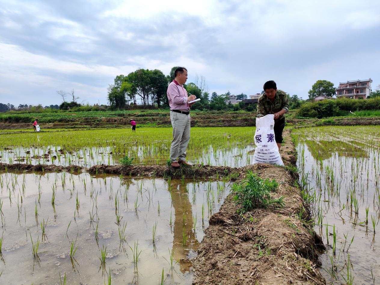 高沙镇强化监督检查  确保种粮补贴足额精准发放到户