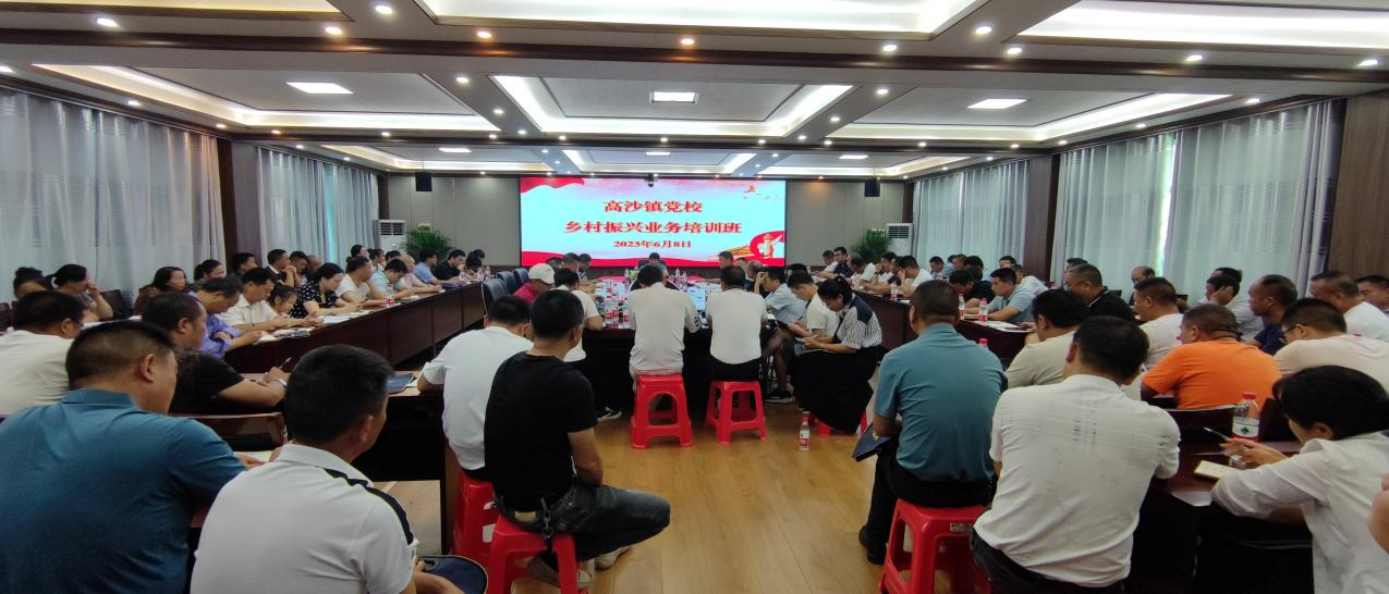 高沙镇举办乡村振兴业务培训班