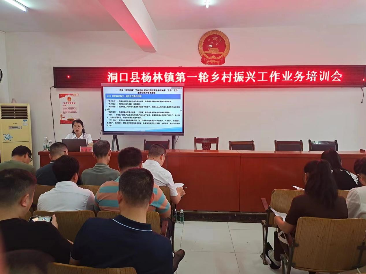 杨林镇开展乡村振兴工作业务培训