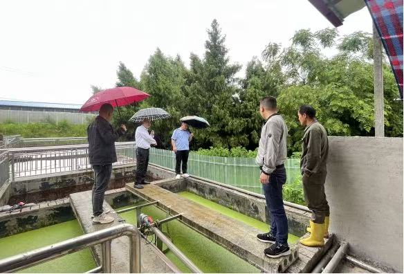 黄桥镇开展污染防治执法检查 守护绿色家园