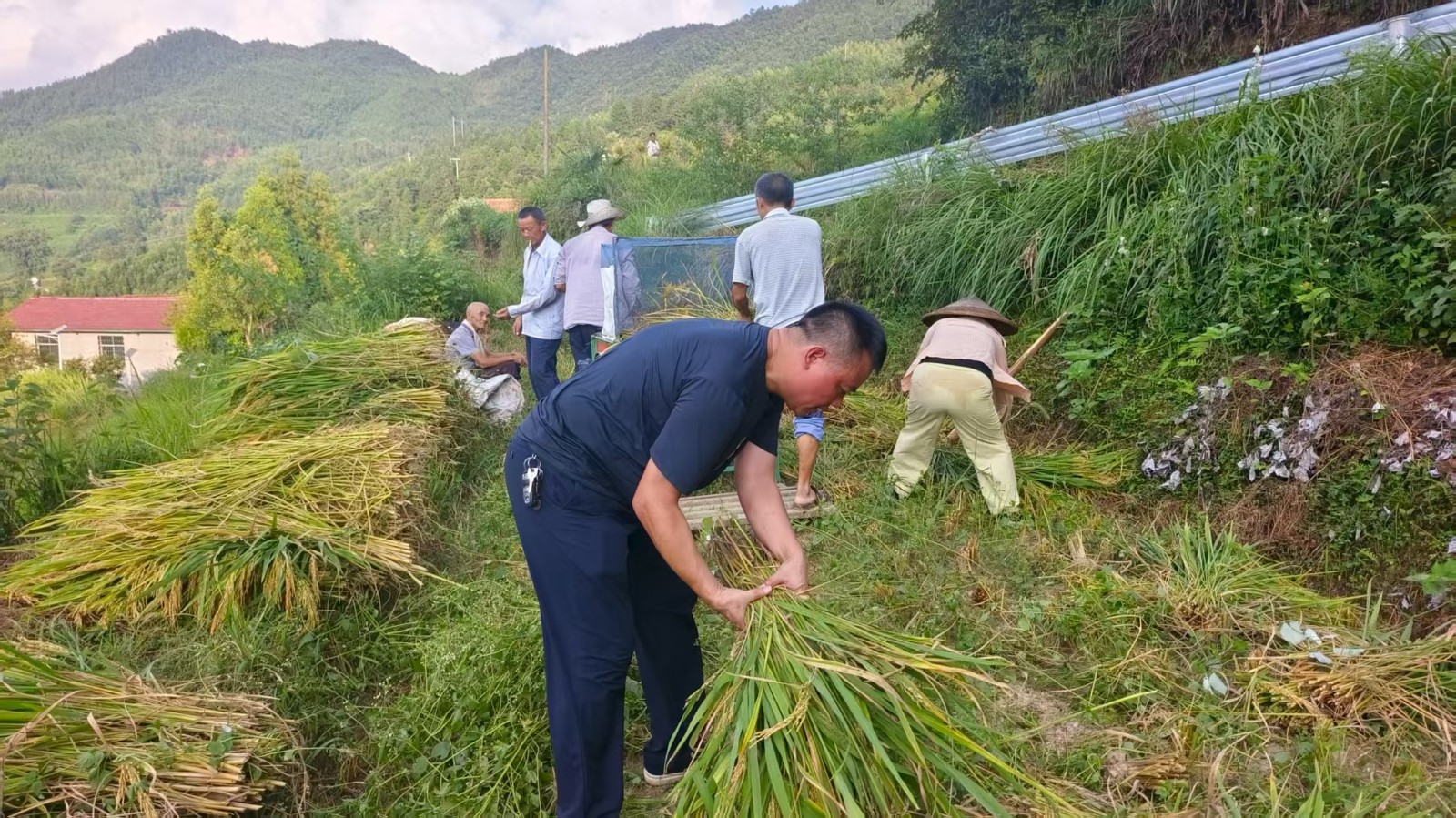 长塘瑶族乡：积分当 “纽带”，秋收不孤单！