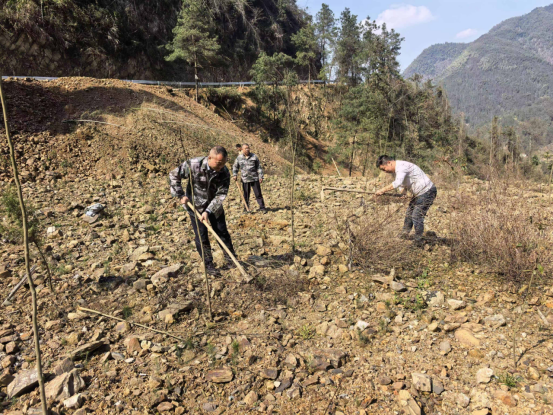 桐山乡：履行义务植树 共建美丽洞口
