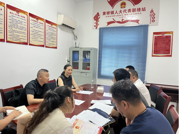 黄桥镇开展“代表走访查隐患 依法履职保平安”主题活动