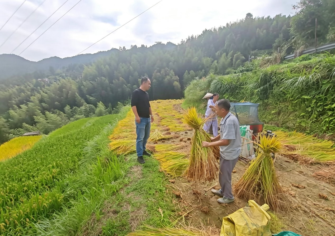 长塘瑶族乡：秸秆禁烧齐发力 综合利用护蓝天